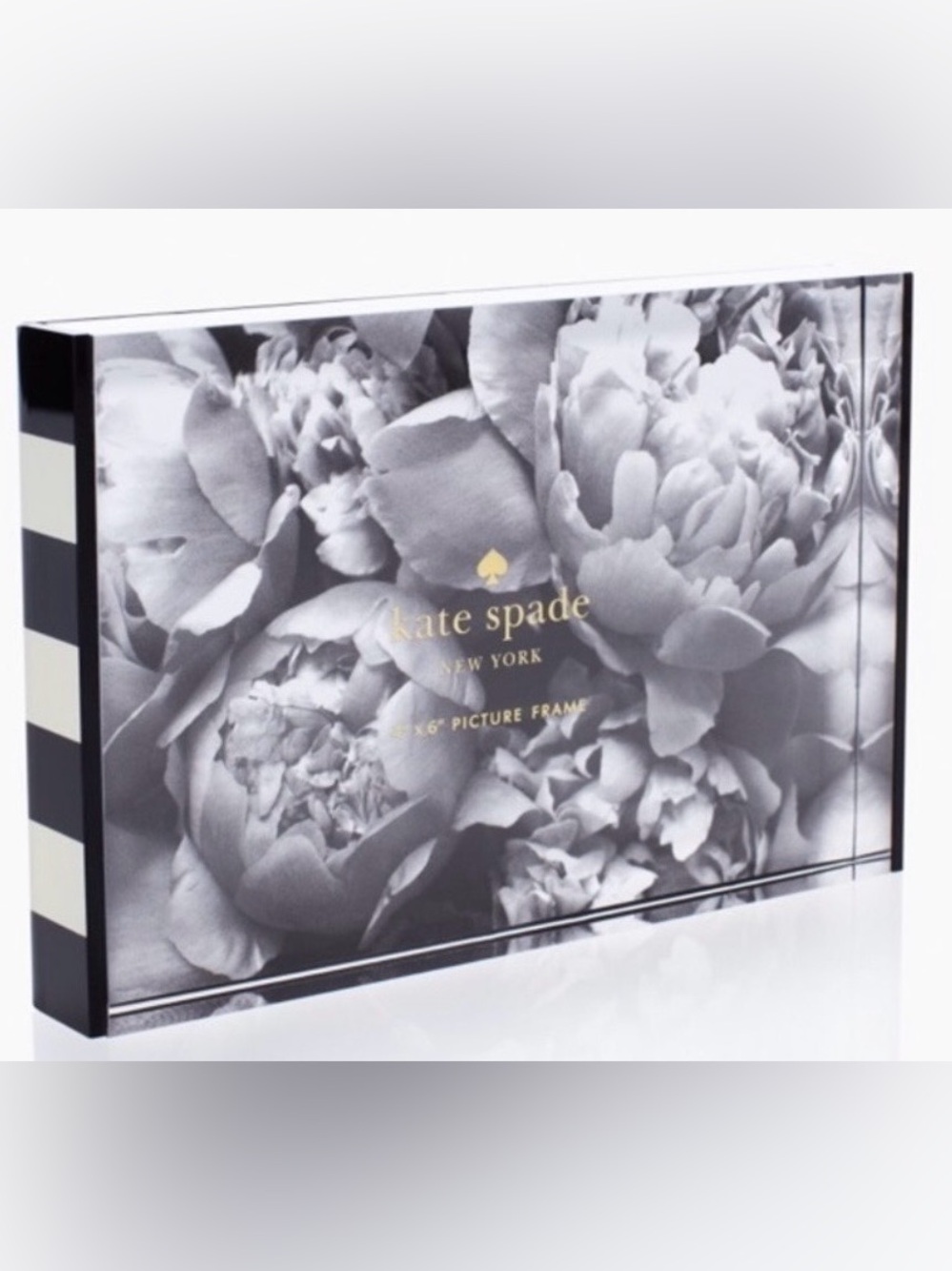 kate spade New York Frame 4x6 Acrylic Picture Frame **NIB**